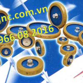 Các loại tụ bao gồm Tụ nước, Tụ ống, Tụ đĩa, Tụ vuông, Tụ Khóa...